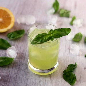 Gin-Basilico